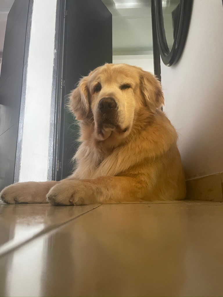 Paco